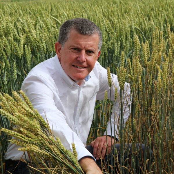Mike Thornton with wheat with rust SQUARE