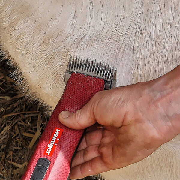 Opal Xtend is ideal for TB testing SQUARE